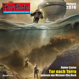 Rainer Castor: Perry Rhodan 2576: Tor nach Terra