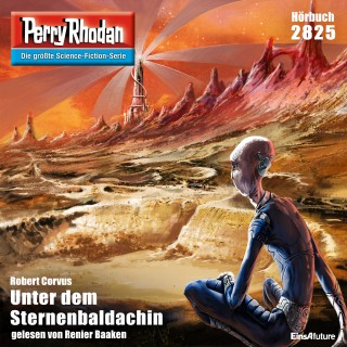 Robert Corvus: Perry Rhodan 2825: Unter dem Sternenbaldachin