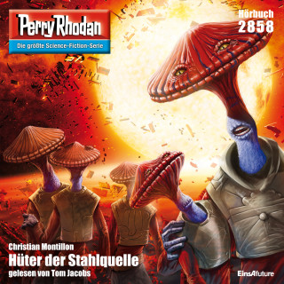 Christian Montillon: Perry Rhodan 2858: Hüter der Stahlquelle