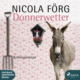 Nicola Förg: Donnerwetter - Ein Allgäu-Krimi