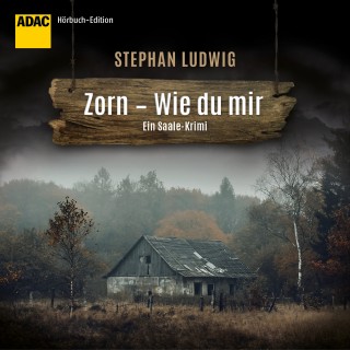 Stephan Ludwig: Zorn - Wie du mir