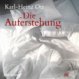 Karl-Heinz Ott: Die Auferstehung