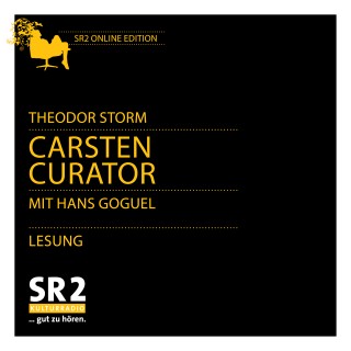 Theodor Storm: Carsten Curator