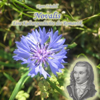 Egon Fridell: Novalis