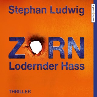 Stephan Ludwig: Zorn 7 – Lodernder Hass