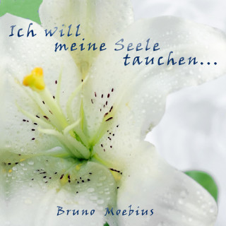 Ich will meine Seele tauchen ...