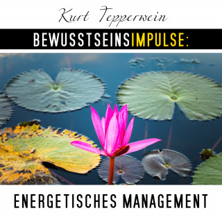 Kurt Tepperwein: Bewusstseinsimpulse: Energetisches Management