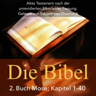 Eduard von Overheidt: Die Bibel: 2. Buch Mose (Altes Testament)