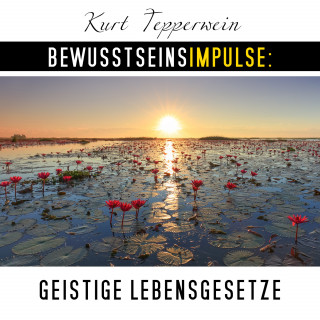 Kurt Tepperwein: Bewusstseinsimpulse: Geistige Lebensgesetze