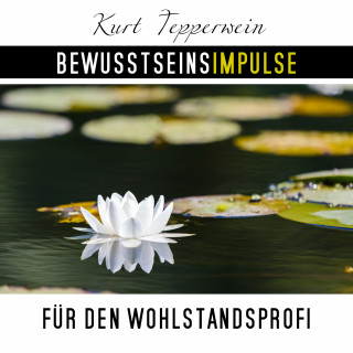 Kurt Tepperwein: Bewusstseinsimpulse für den Wohlstandsprofi