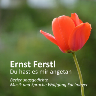 Ernst Ferstl: Ernst Ferstl - Du Hast Es Mir Angetan