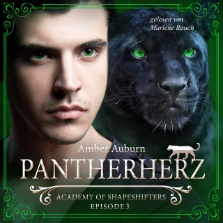 Amber Auburn: Pantherherz, Episode 3 - Fantasy-Serie