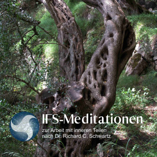 Richard C. Schwartz, Susan McConnell: IFS-Meditationen zur Arbeit mit inneren Teilen nach Dr. Richard C. Schwartz
