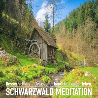 Patrick Lynen: DIE SCHWARZWALD MEDITATION: Spüre dich wieder und erlebe einzigartige Momente der Ruhe