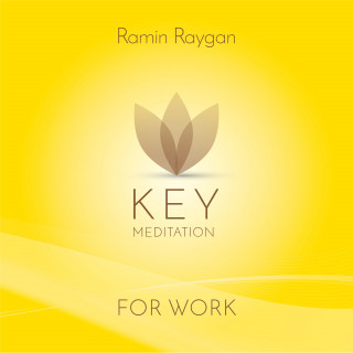 Ramin Raygan: For Work - Key Meditation