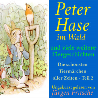 Anonymus: Peter Hase im Wald – und viele weitere Tiergeschichten