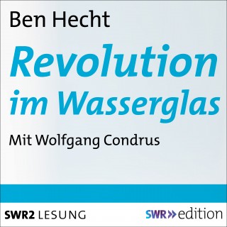 Ben Hecht: Revolution im Wasserglas