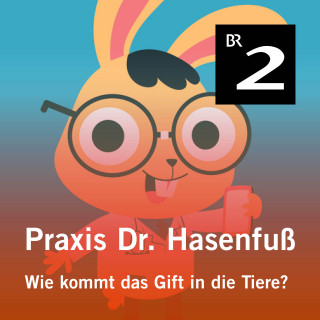 Olga-Louise Dommel: Praxis Dr. Hasenfuß: Wie kommt das Gift in die Tiere?