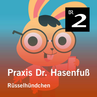 Olga-Louise Dommel: Praxis Dr. Hasenfuß: Rüsselhündchen