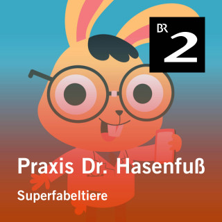 Olga-Louise Dommel: Praxis Dr. Hasenfuß: Superfabeltiere (Drache und Einhorn)