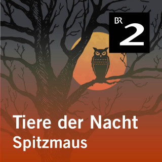 Silke Wolfrum: Tiere der Nacht: Spitzmaus