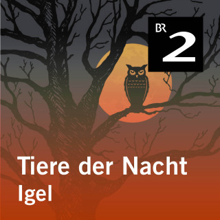Silke Wolfrum: Tiere der Nacht: Igel