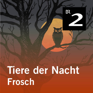 Silke Wolfrum: Tiere der Nacht: Frosch