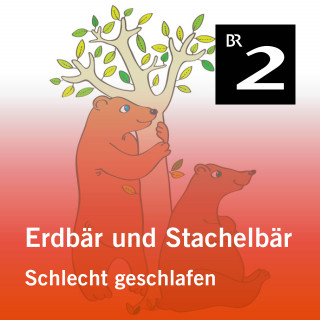 Olga-Louise Dommel: Erdbär und Stachelbär: Schlecht geschlafen