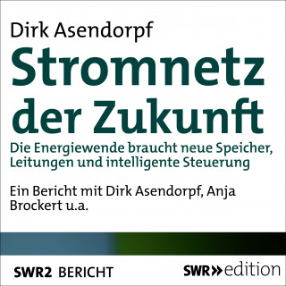 Dirk Asendorpf: Stromnetz der Zukunft