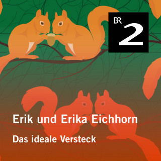 Eo Borucki: Erik und Erika Eichhorn: Das ideale Versteck