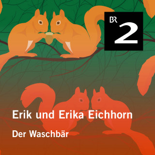 Eo Borucki: Erik und Erika Eichhorn: Der Waschbär