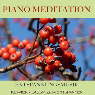 Filip Lundqvist: Piano Meditation – Entspannungsmusik