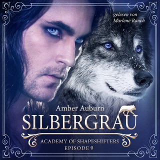 Amber Auburn: Silbergrau, Episode 9 - Fantasy-Serie