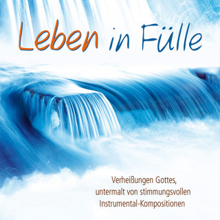 Die Bibel: Leben in Fülle