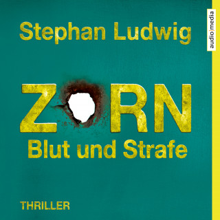 Stephan Ludwig: Zorn 8 – Blut und Strafe