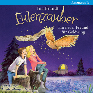 Ina Brandt: Eulenzauber (8). Ein neuer Freund für Goldwing