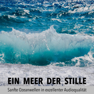 Robert vanDyck: Sanfte Ozeanwellen, Beruhigendes Meeresrauschen, Brandung, Wellen am Strand, Meereswellen