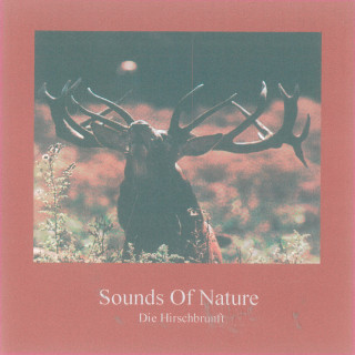 Thomas Kommer, Gerhard Lischka: Sounds of Nature - Die Hirschbrunft