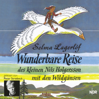 Selma Lagerlöf: Wunderbare Reise des kleinen Nils Holgersson mit den Wildgänsen