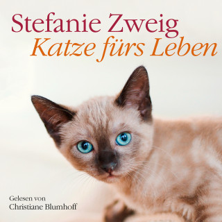 Stefanie Zweig: Katze fürs Leben