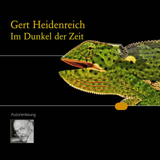 Gert Heidenreich: Im Dunkel der Zeit