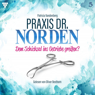 Patricia Vandenberg: Praxis Dr. Norden 5 - Arztroman