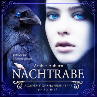 Amber Auburn: Nachtrabe, Episode 13 - Fantasy-Serie