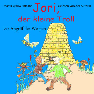 Marita Sydow Hamann: Jori, der kleine Troll