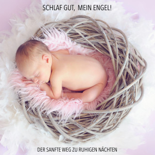 Eva-Maria Herzig: Schlaf gut, mein Engel! Der sanfte Weg zu ruhigen Nächten - Musiken und Geräusche, die Ihr Baby zuverlässig einschlafen lassen