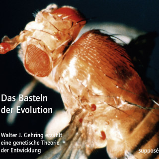 Walter J. Gehring, Klaus Sander: Das Basteln der Evolution