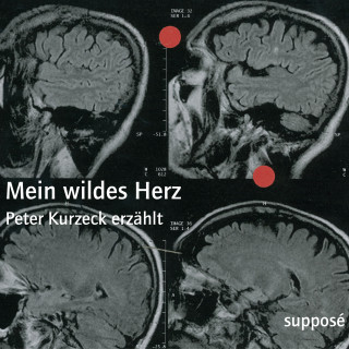 Peter Kurzeck, Klaus Sander: Mein wildes Herz
