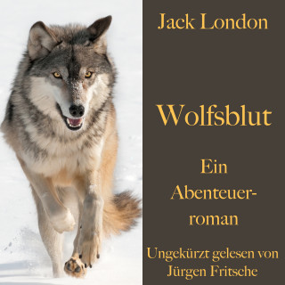 Jack London: Jack London: Wolfsblut