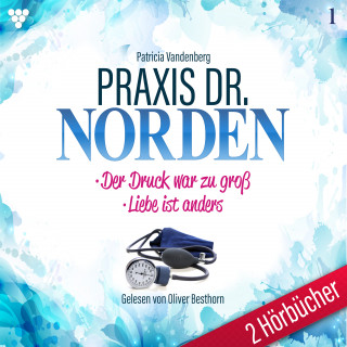 Patricia Vandenberg: Praxis Dr. Norden 2 Hörbücher Nr. 1 - Arztroman