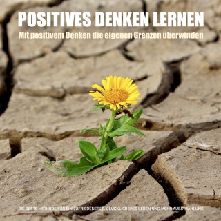 Patrick Lynen: Positives Denken lernen